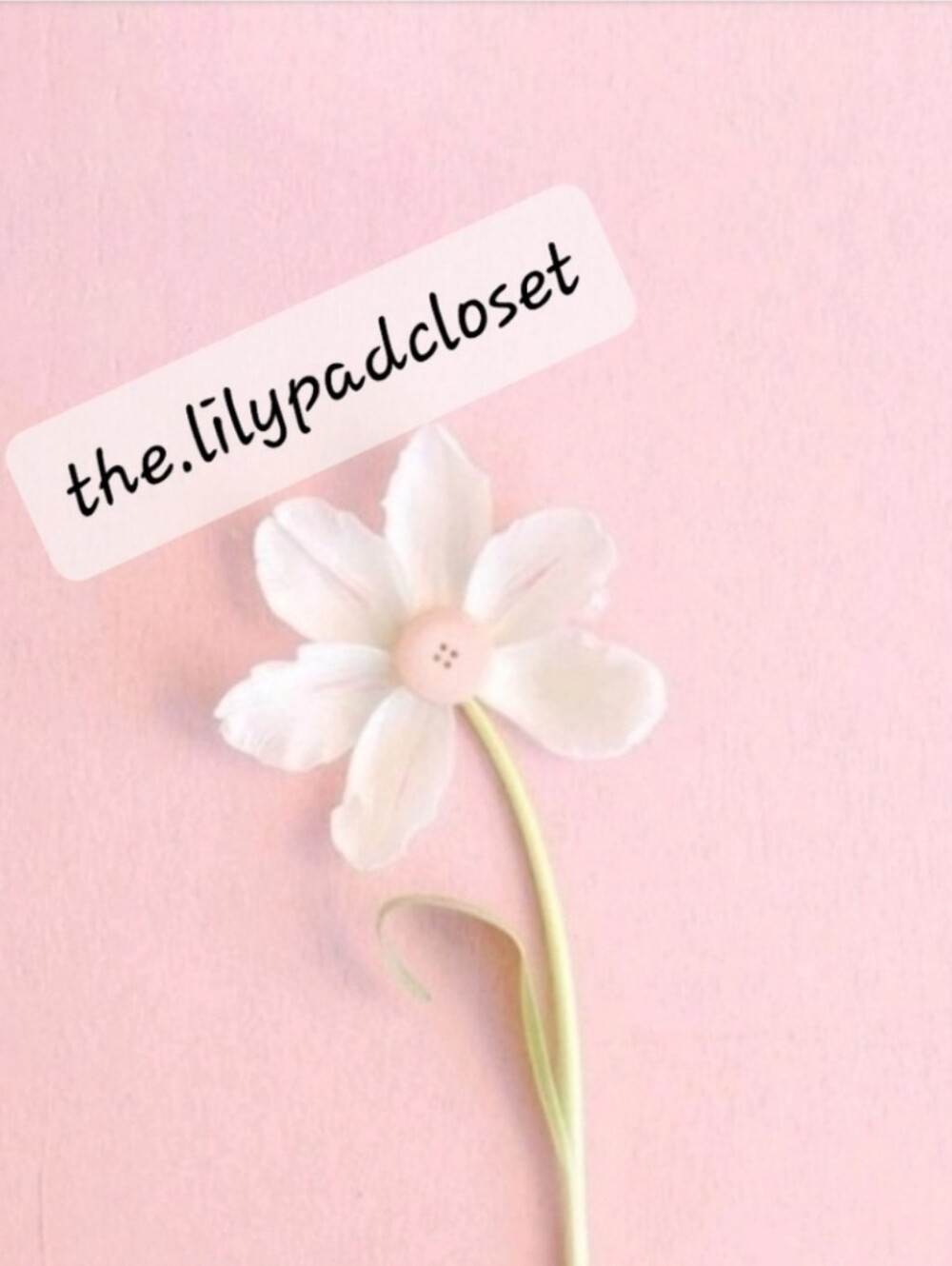 The Lilypad Closet - Picture 1 of 1